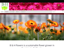 Tablet Screenshot of bandhflowers.com